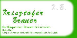 krisztofer brauer business card